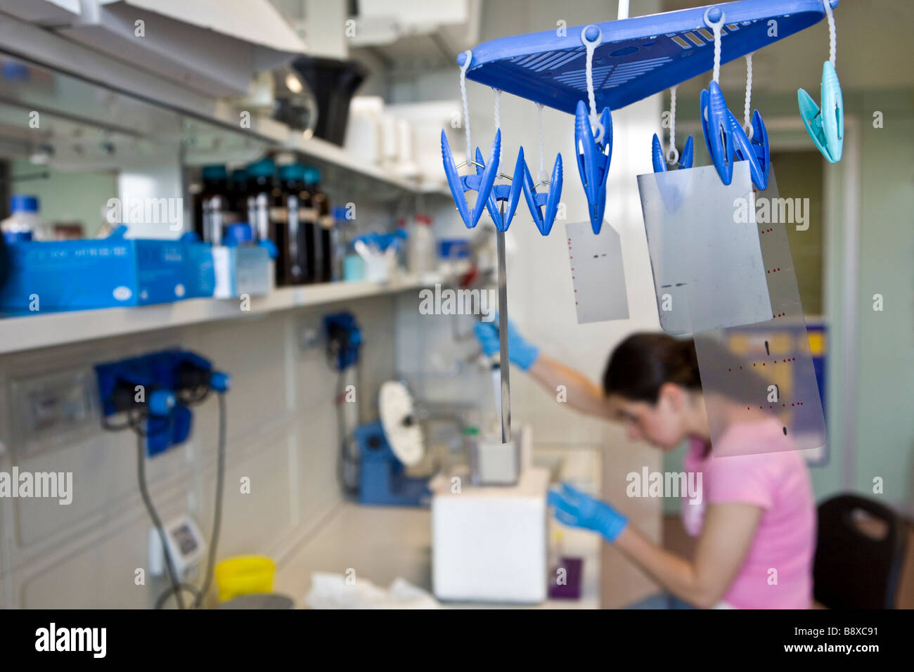proteins purification procedure, istituto di ricerche farmacologiche mario negri, milan, italy Stock Photo