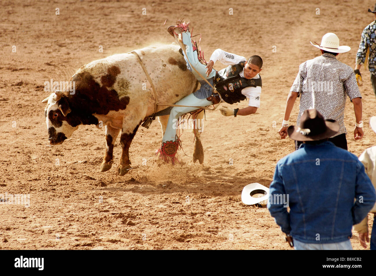 the bull riding event at a rodeo in Arizona Stock Photo - Alamy