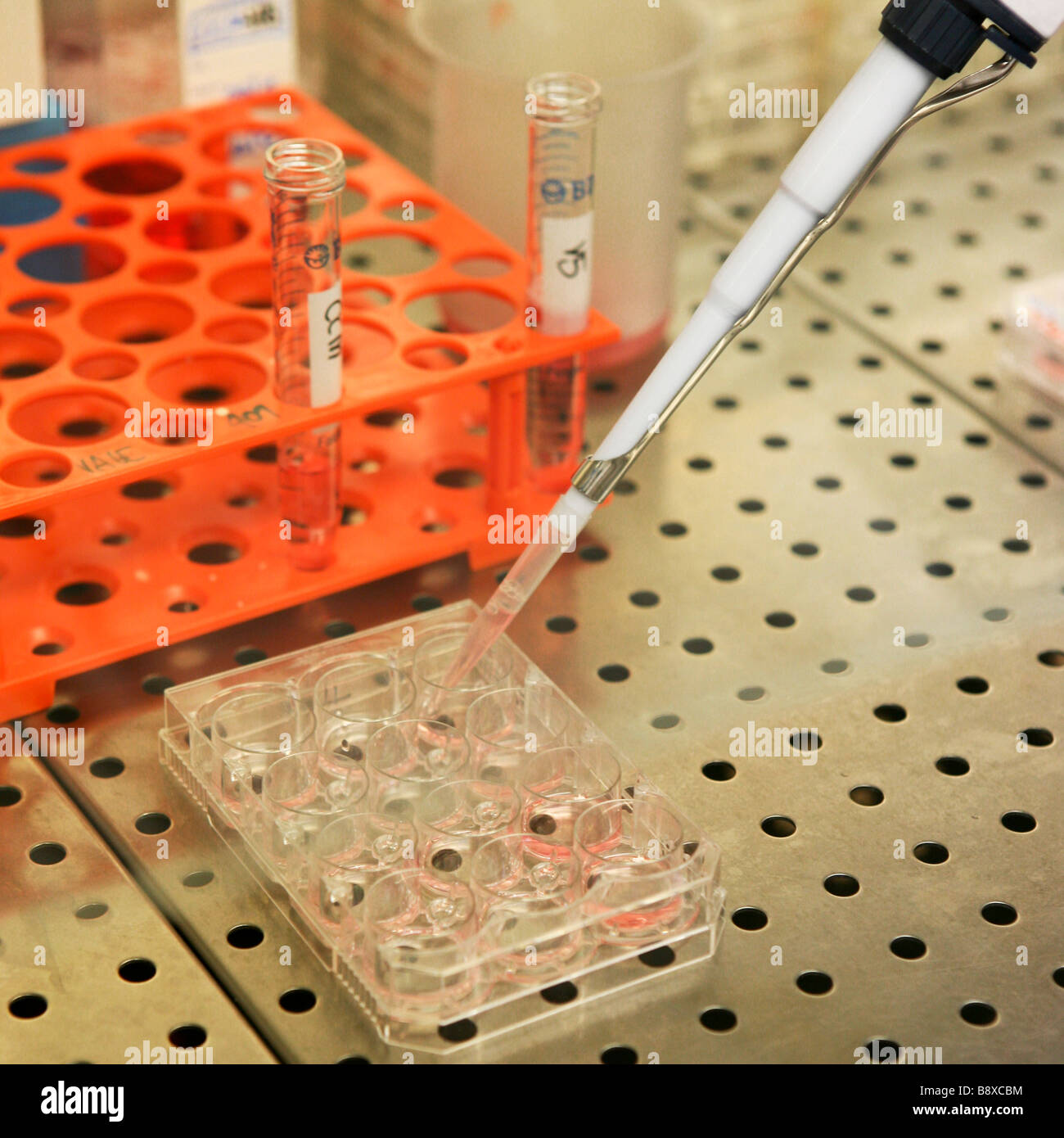 Cell culture plate and test tubes hires stock photography and images