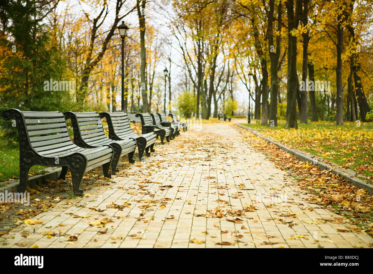 benches in the park Stock Photo - Alamy