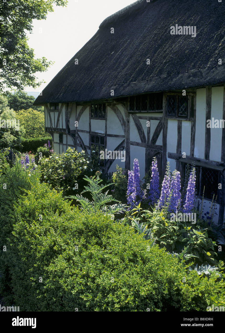 Alfriston Clergy House Stock Photo Alamy