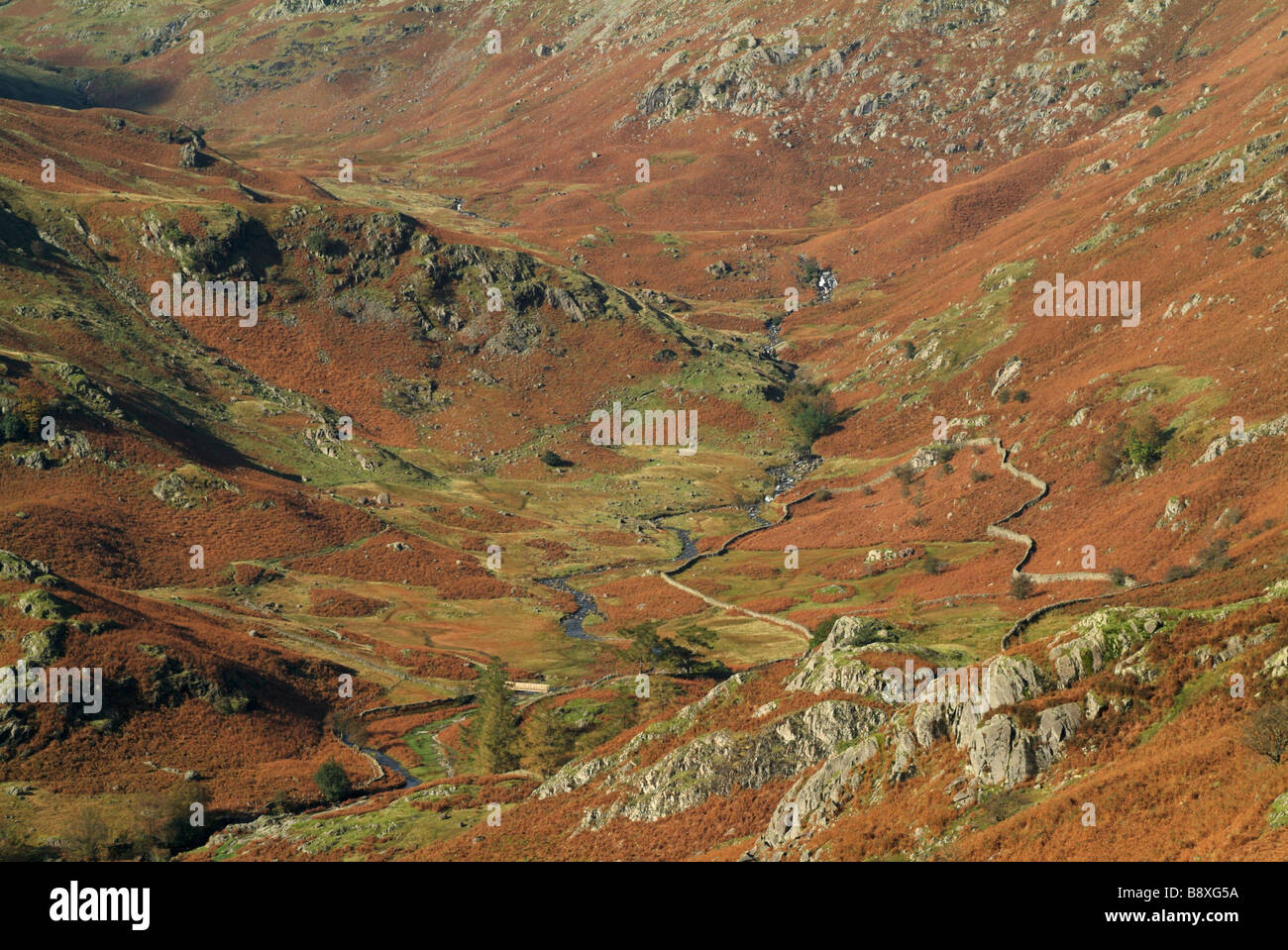 Far Easedale in autumn, Lake District, Cumbria, England, UK. Stock Photo