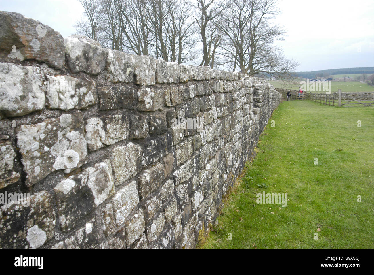 Detail of Hadrian's Wall the Roman border in England Stock Photo