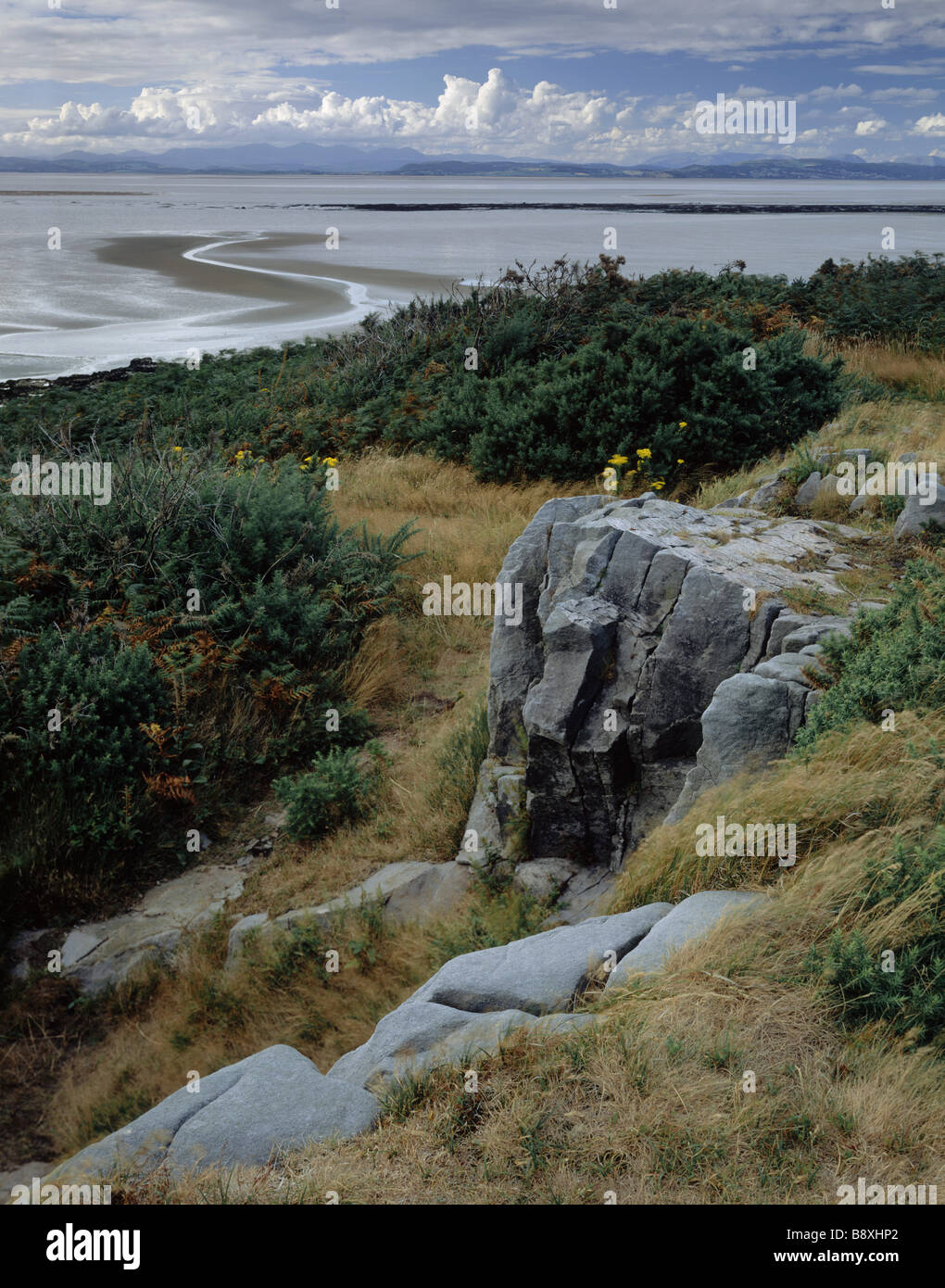 HEYSHAM HEAD Stock Photo Alamy