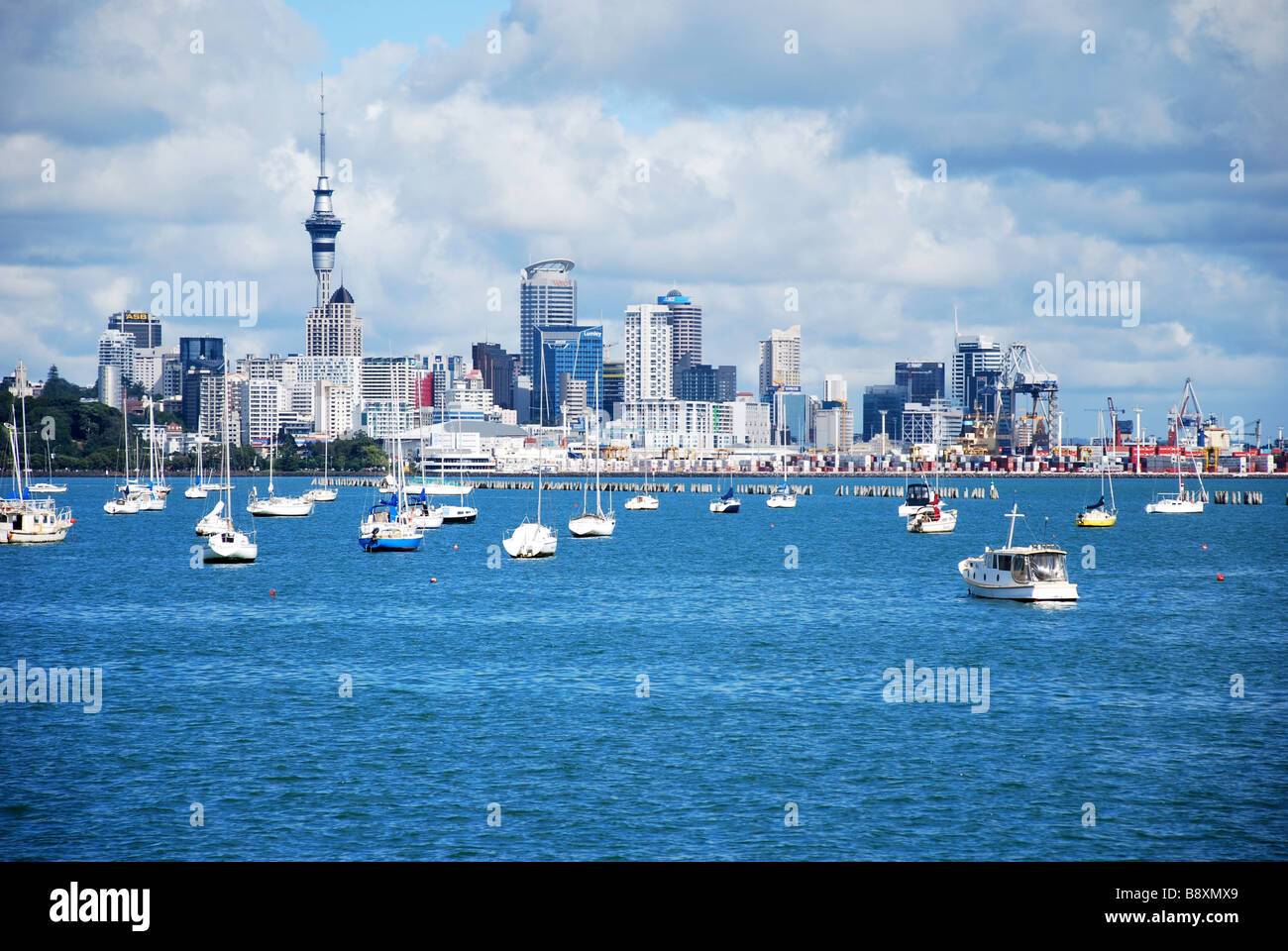 View of Auckland CBD overlooking habour with sailing boats Stock Photo