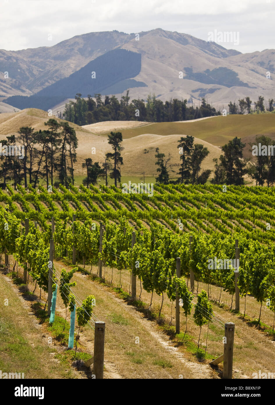 Marlborough blenheim zealand hires stock photography and images Alamy