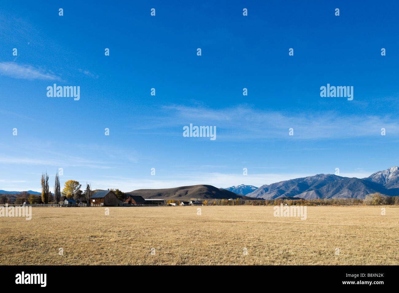 Farm just off US 395 south of Carson City, Sierra Nevada, Nevada, USA Stock Photo