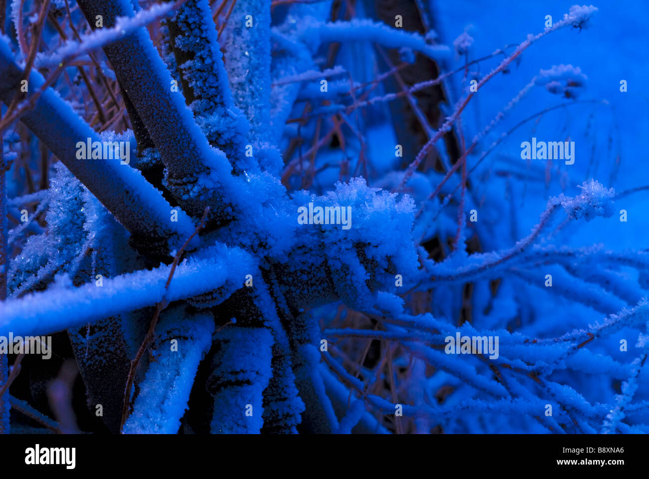 old wooden wheel covered by snow and ice Stock Photo