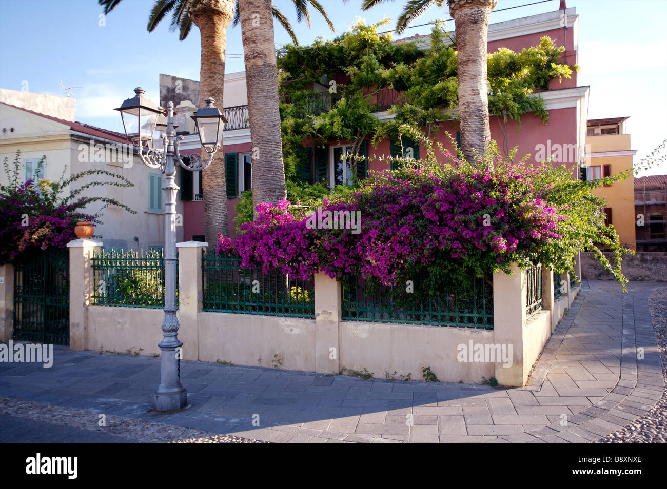 A villa on the coast of Sardinia near the port of Alghero with a large creeper on the outside wall. Stock Photo