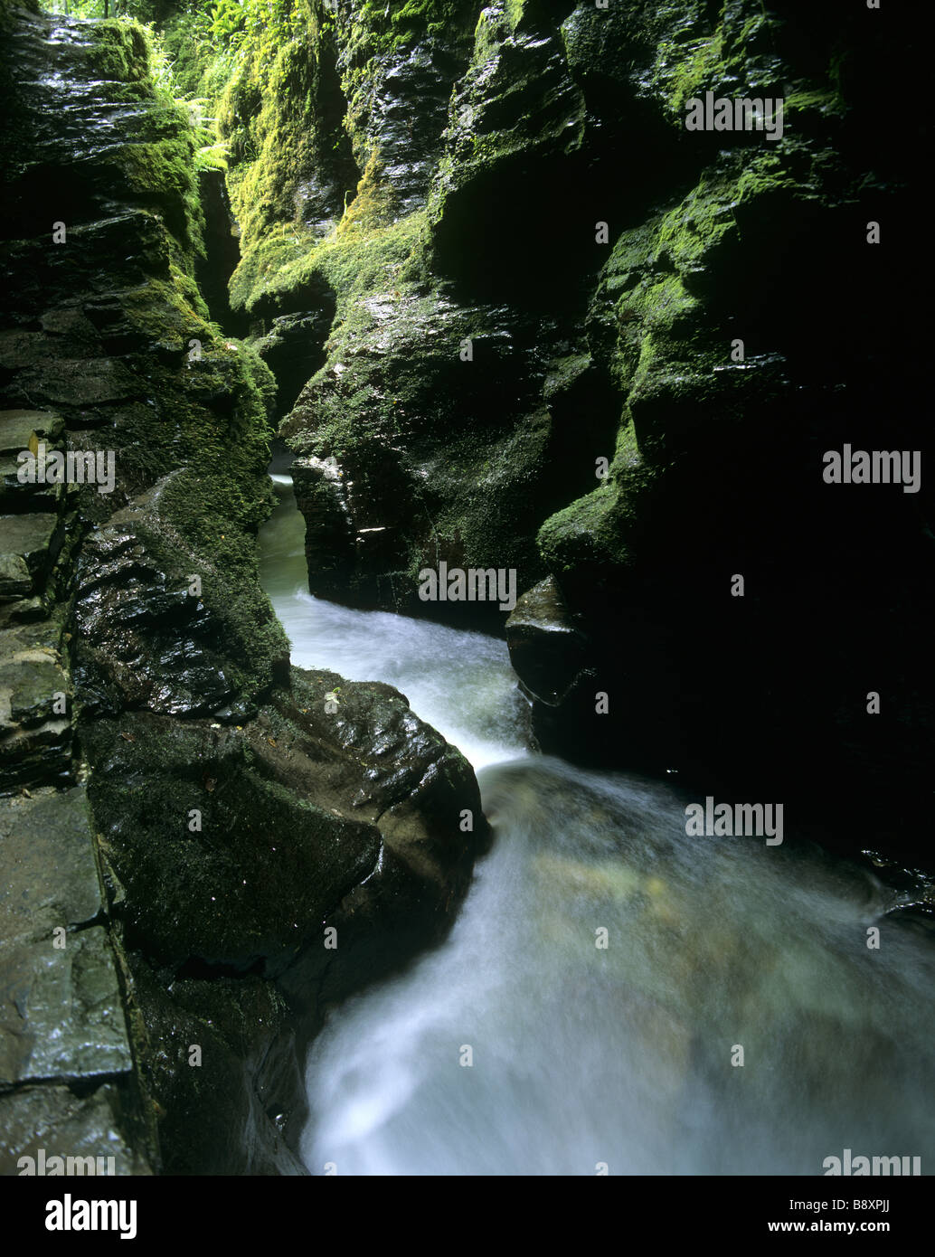 Looking into the Devil s Cauldron in Lydford Gorge The water foaming ...