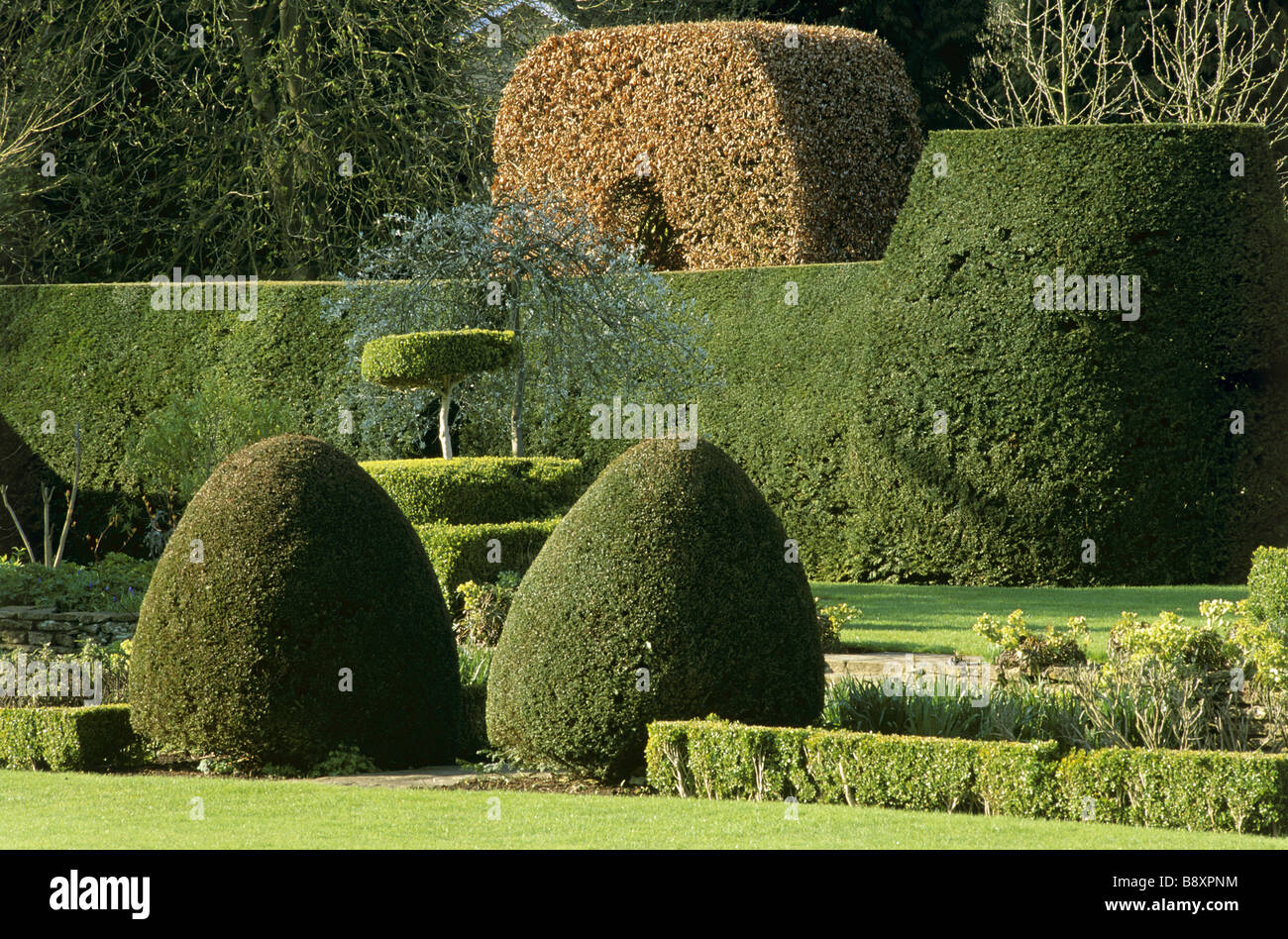 Fine examples of topiary and a shaped yew hedge in the garden of The