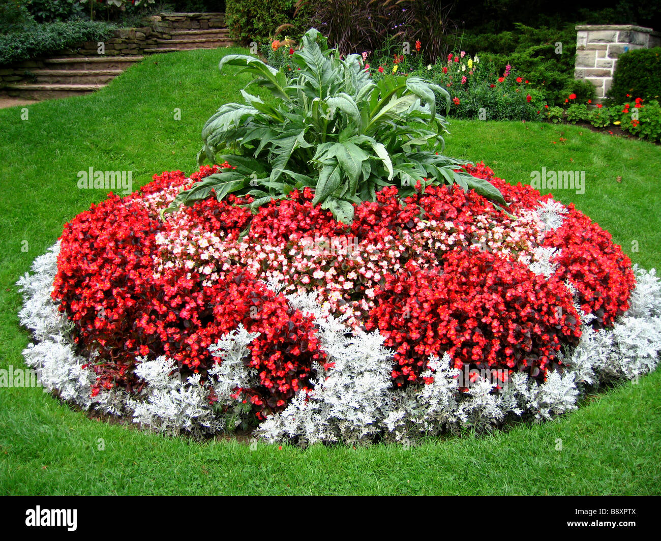 A traditional Victorian style circular flowerbed display with cynara cardunculus in the center Stock Photo