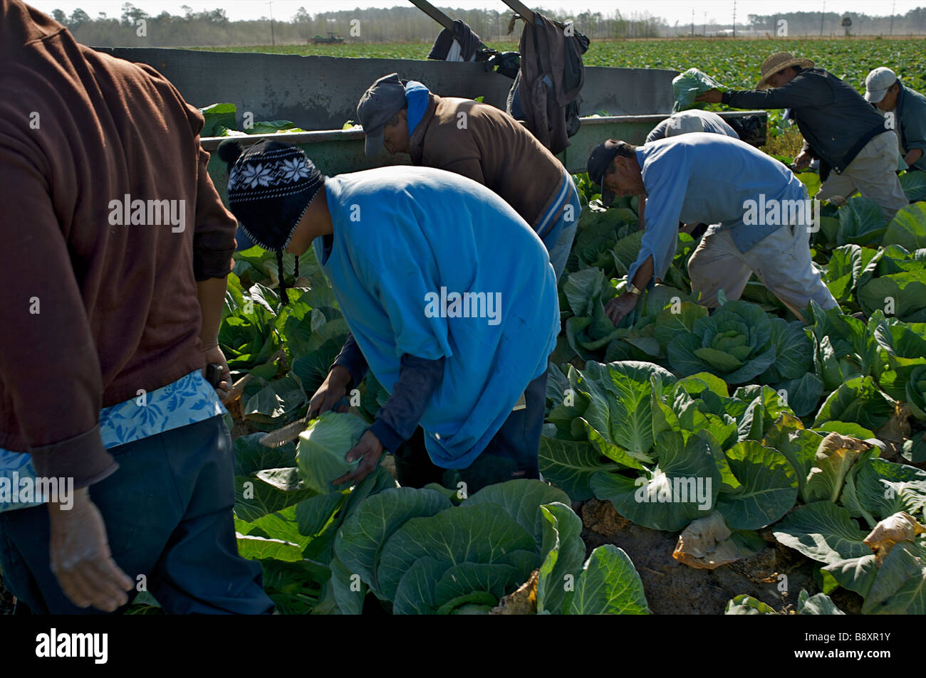 Migrant workers Florida USA Stock Photo