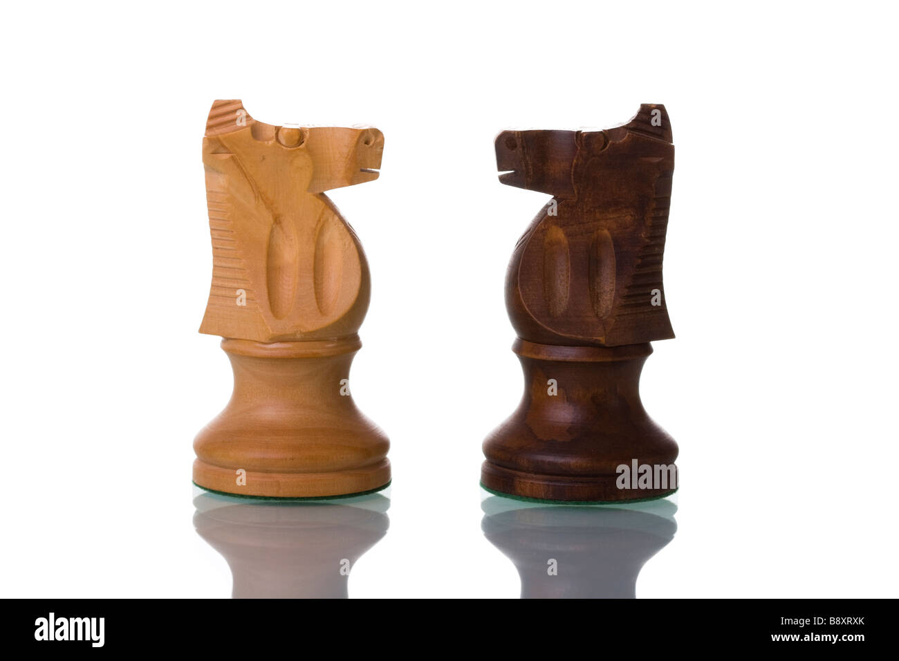 horse chess pieces confrontation isolated on white Stock Photo Alamy