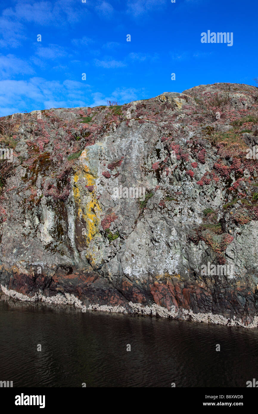 rock lichens Stock Photo