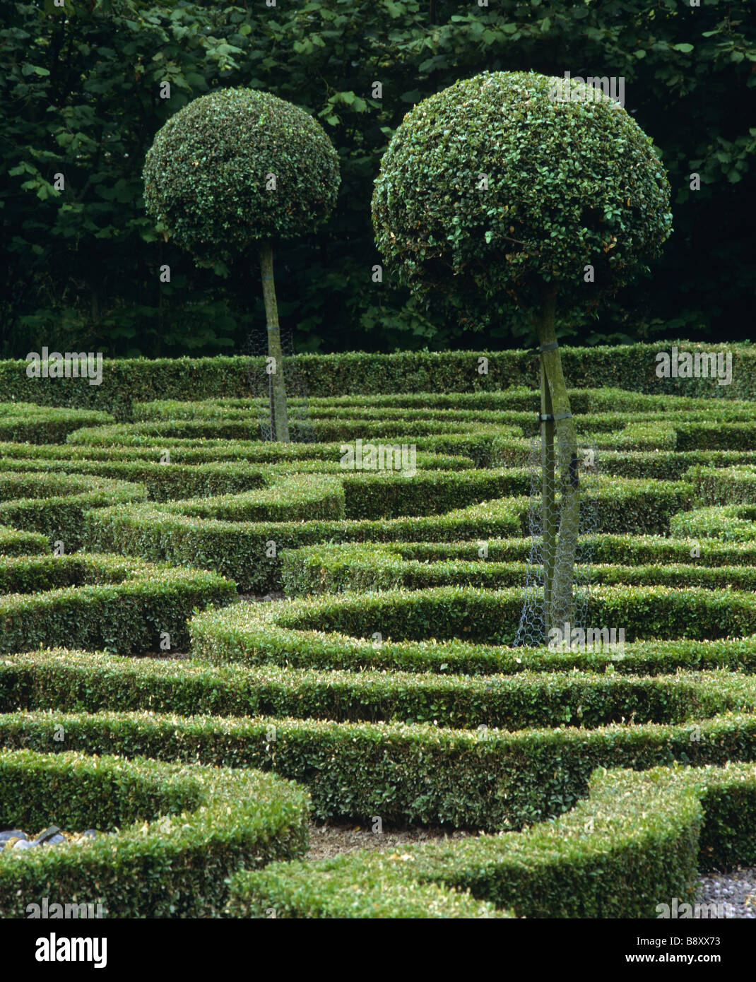 The Knot Garden with dwarf box trees at Moseley Old Hall Stock Photo