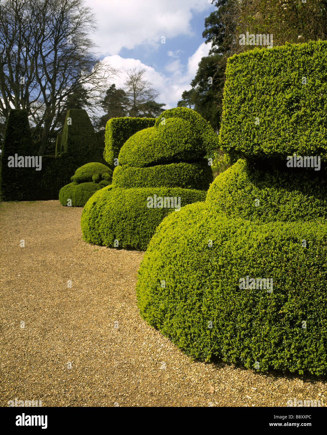 A fine example of topiary in Nymans Garden Stock Photo Alamy