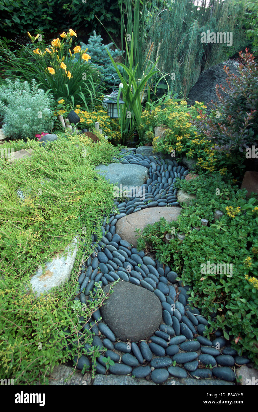 DRY STREAM OF MEXICAN BEACH PEPPLES CURVES THROUGH GROUND COVERS IN MINNESOTA GARDEN.  SUMMER. Stock Photo