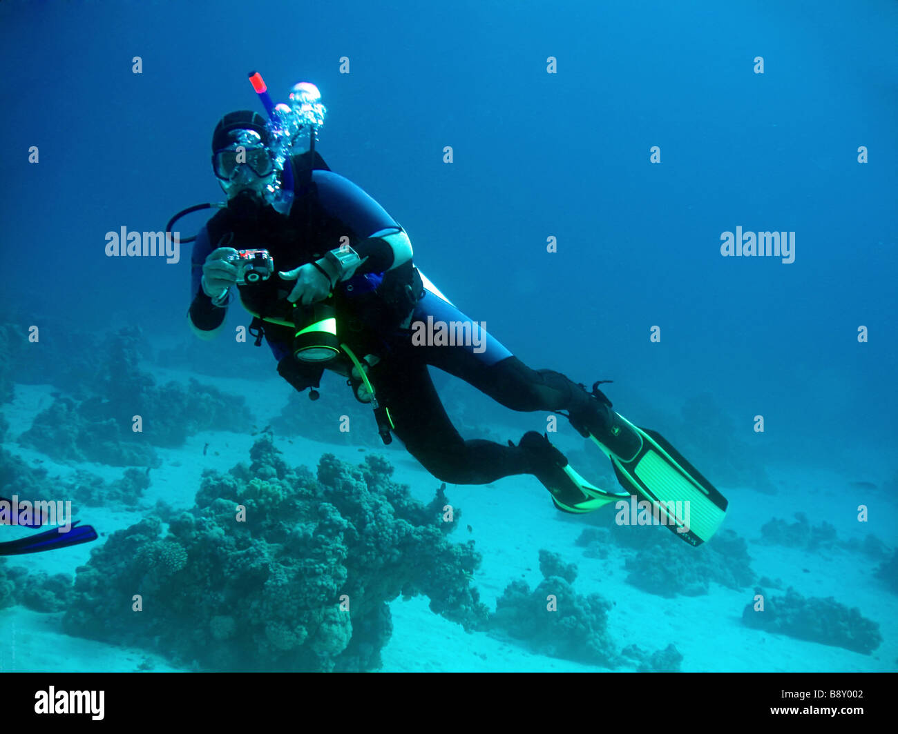 diver in deep with camera underwater photographer Stock Photo Alamy