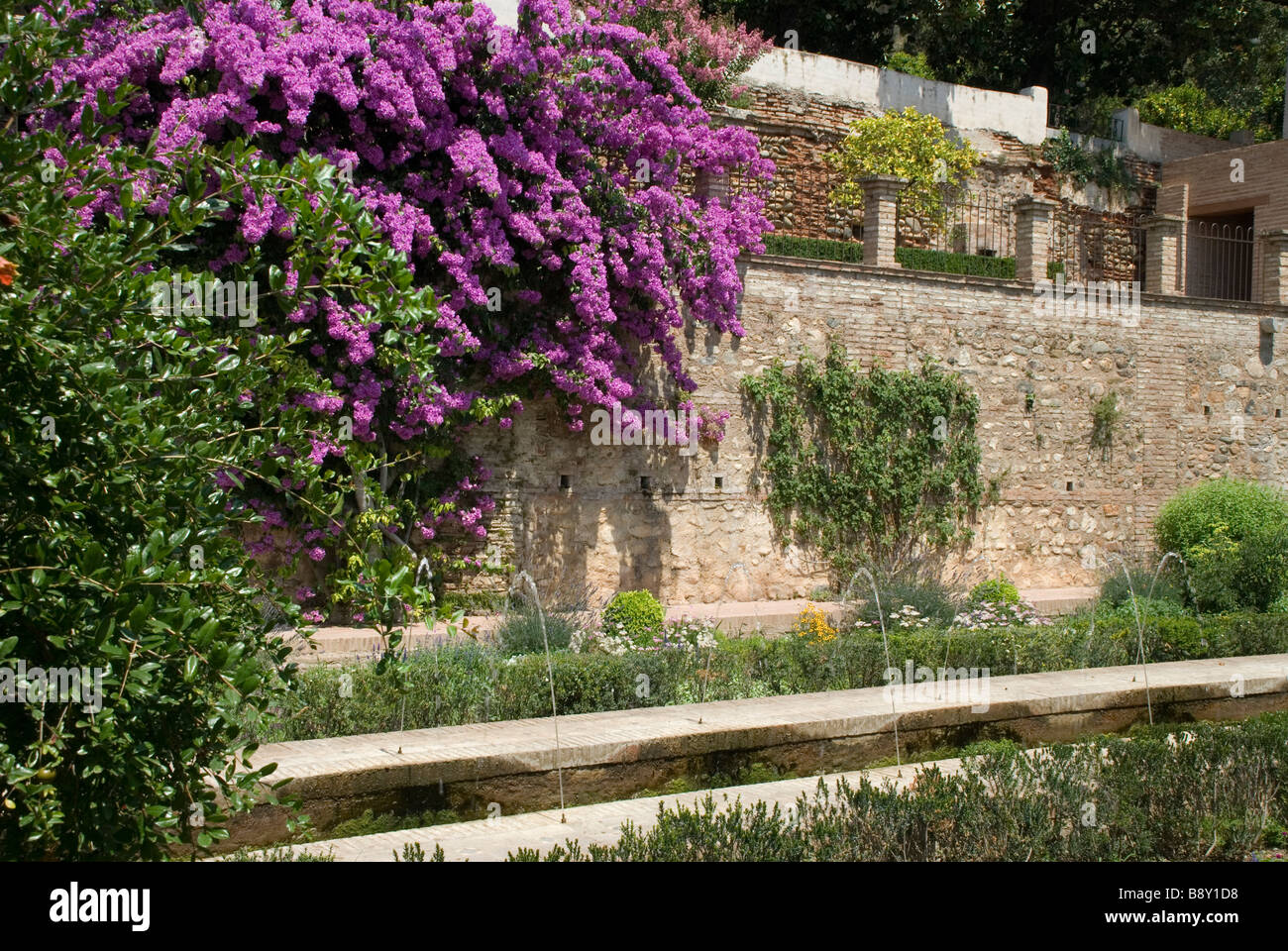 Flowers and plants in a garden, Alhambra, Granada, Andalusia, Spain
