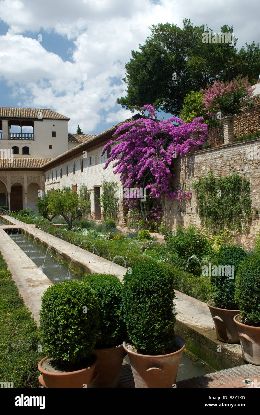 Flowers and plants in a garden, Alhambra, Granada, Andalusia, Spain