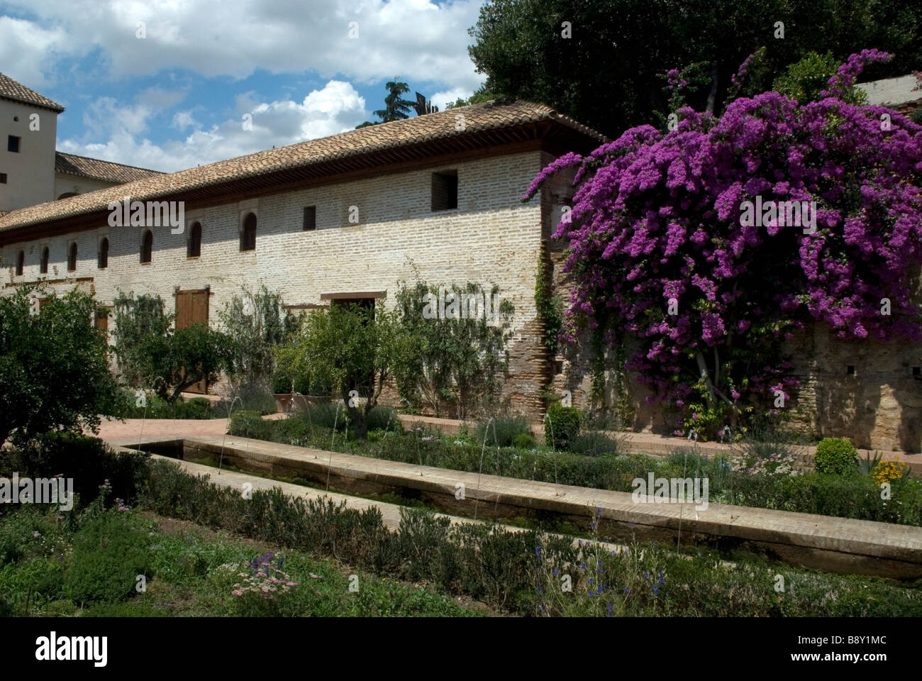 Flowers and plants in a garden, Alhambra, Granada, Andalusia, Spain Stock Photo Alamy