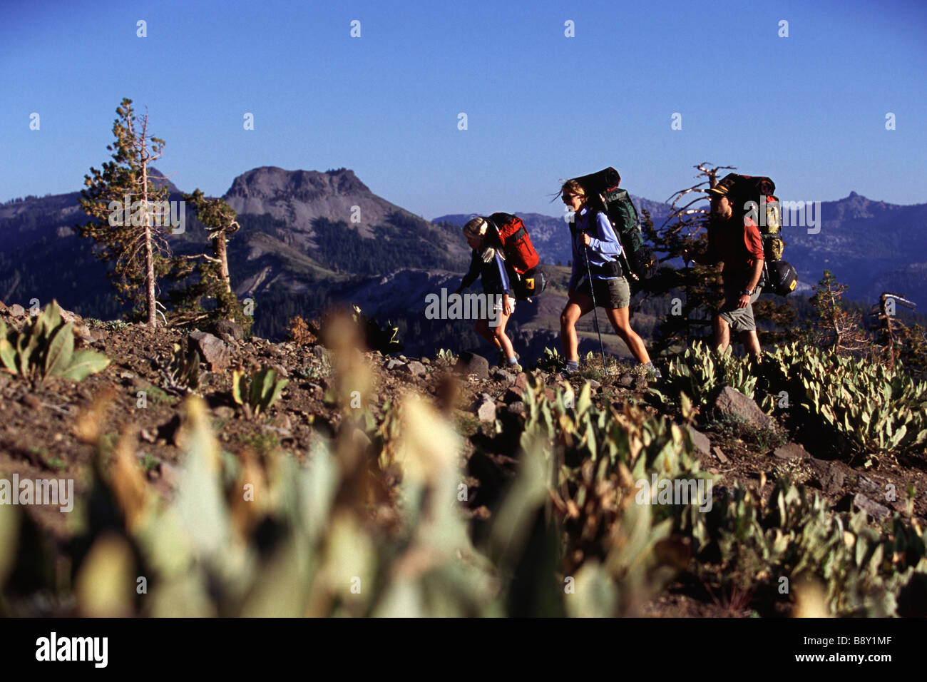 Family hiking a mountain, Pacific Crest Trail, California, USA Stock Photo