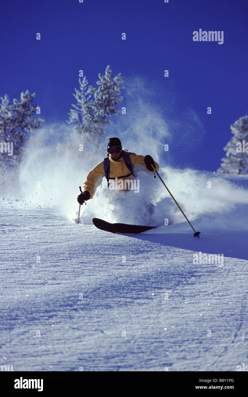 Woman skiing, Sugar Bowl Ski Resort, California, USA Stock Photo