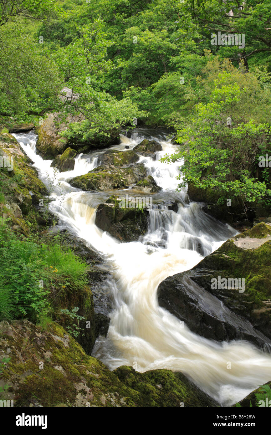 Waterfalls on the River Marteg. Gilfach Farm Nature Reserve, a Radnorshire Wildlife Trust reserve near Rhayader, Powys, Wales. Stock Photo