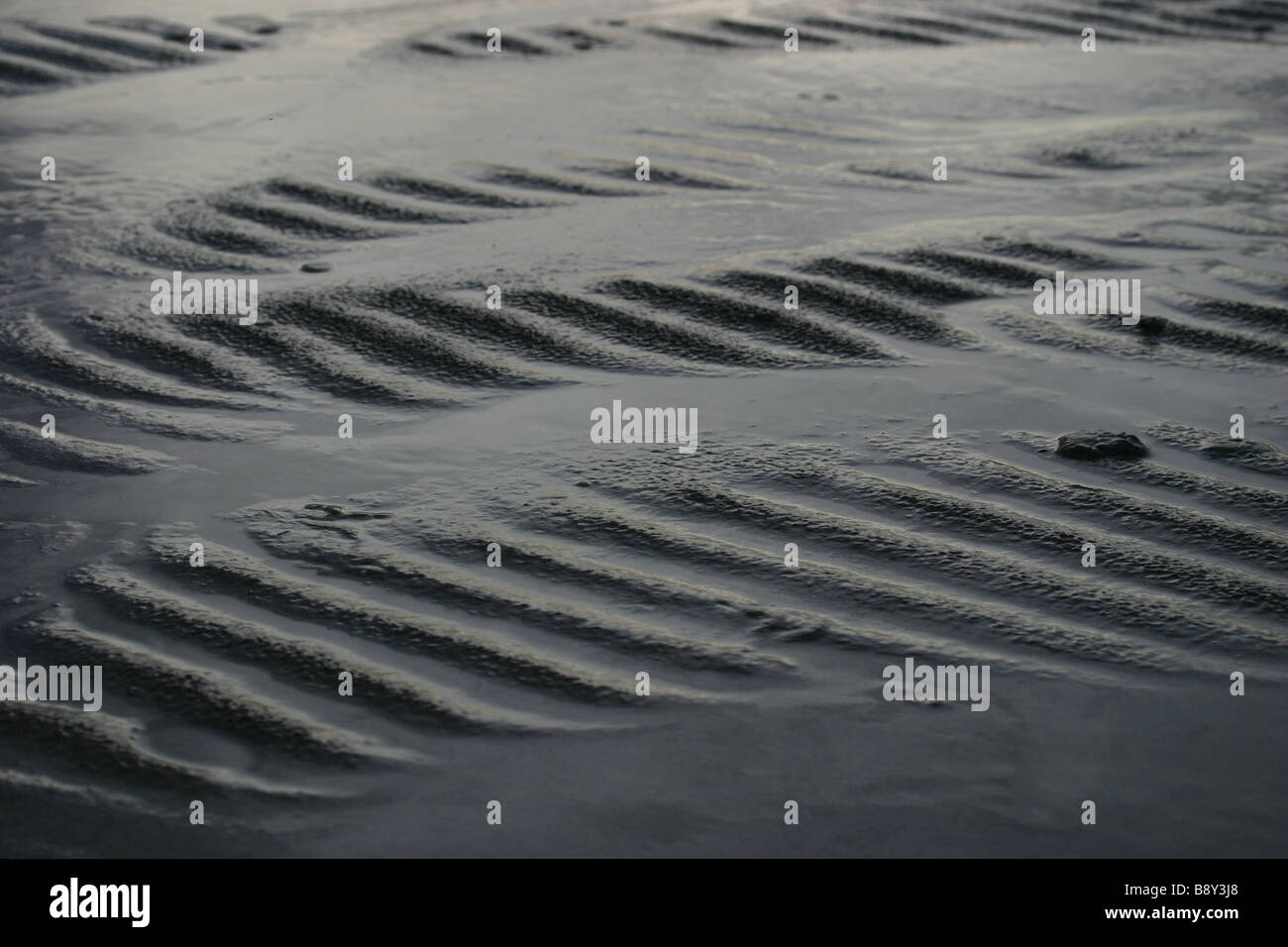 Corrugations in sand at low tide Stock Photo