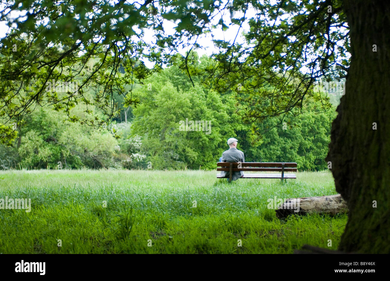 Man sitting on park bench Stock Photo - Alamy