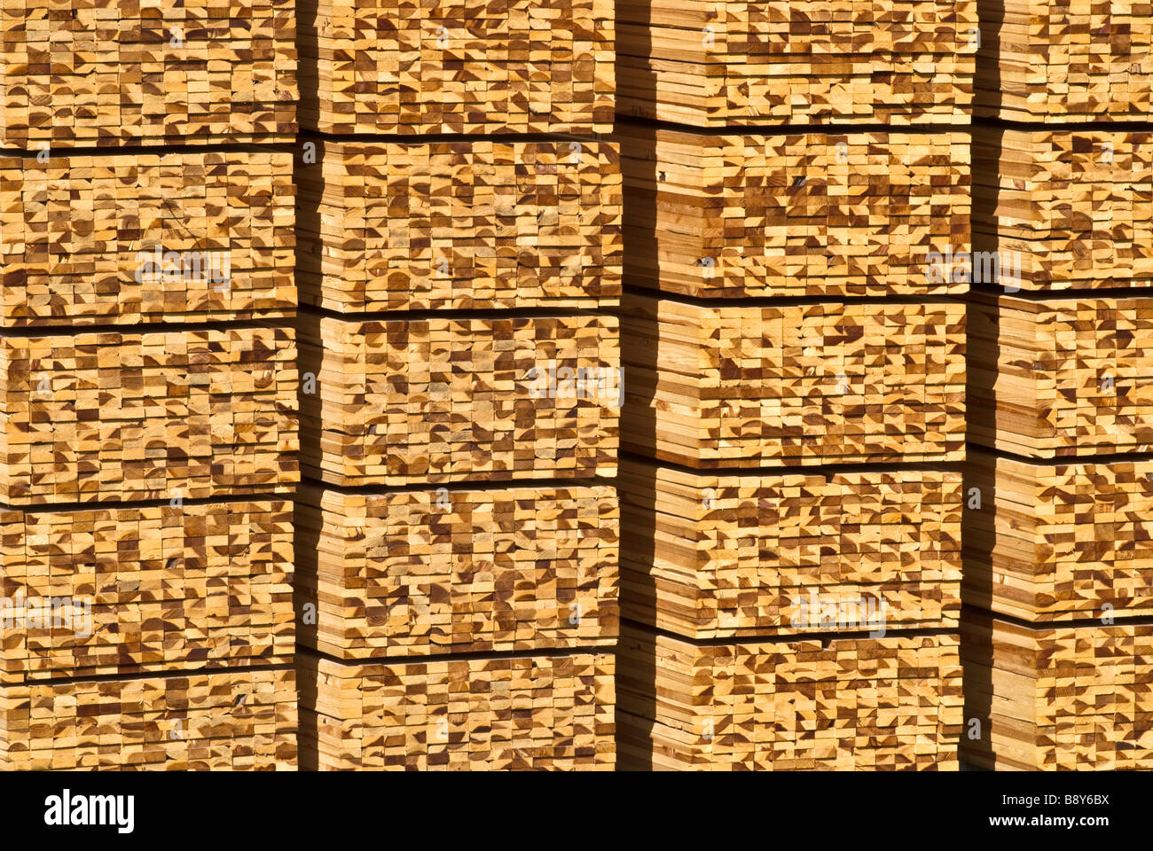 Log Books Stack Stack of logs, California, USA Stock Photo - Alamy