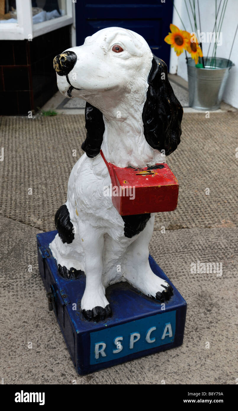 RSPCA Charity Collection Box Stock Photo Alamy RSPCA Charity Collection Box Stock Photo Alamy