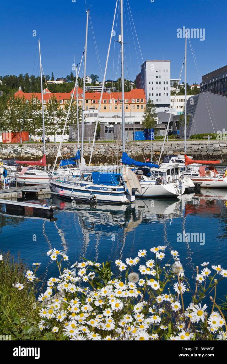 Yachts At A Marina Tromso Toms County Nord Norge Norway Stock Photo 