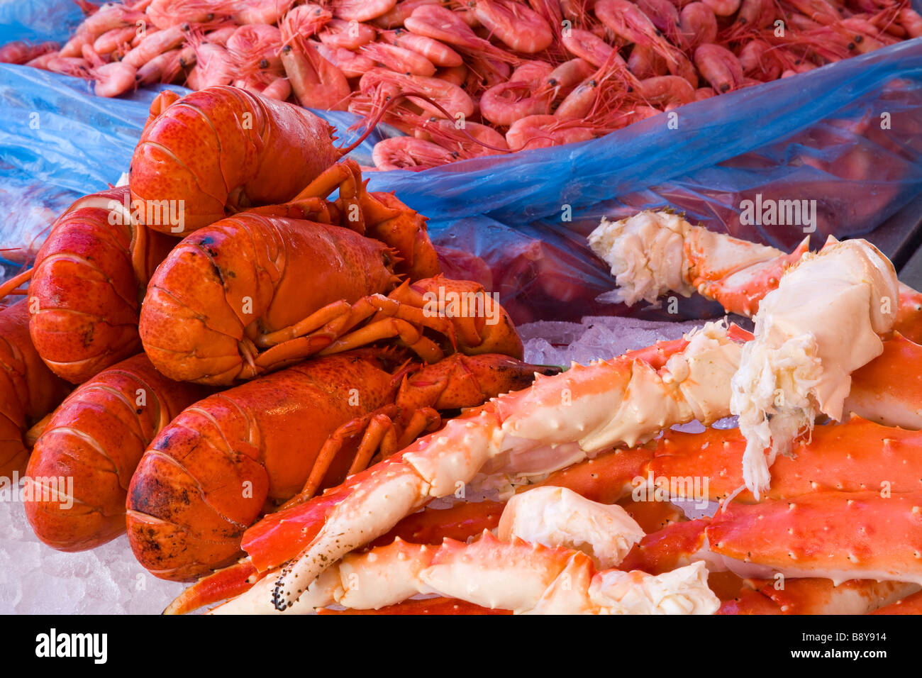 Seafood at a market stall, Fish Market, Bergen, Hordaland County