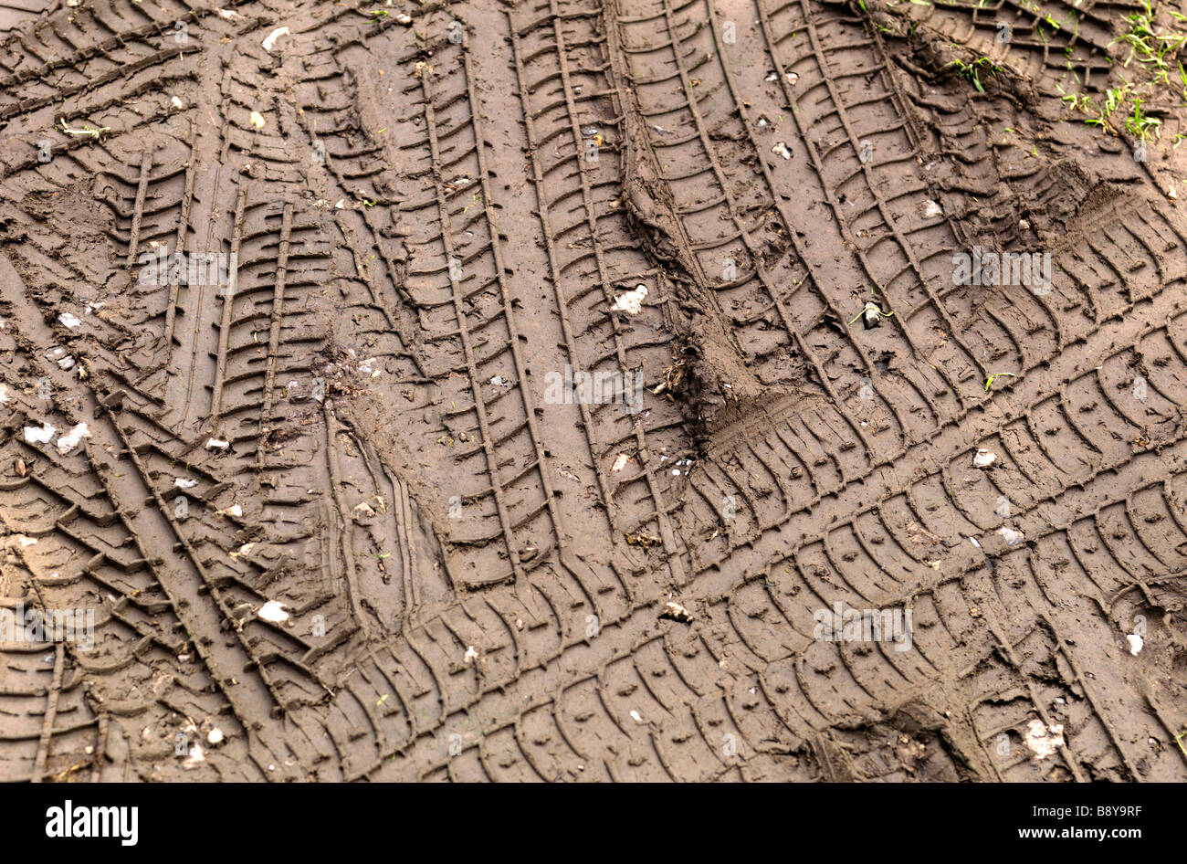 tyre track marks in mud Stock Photo