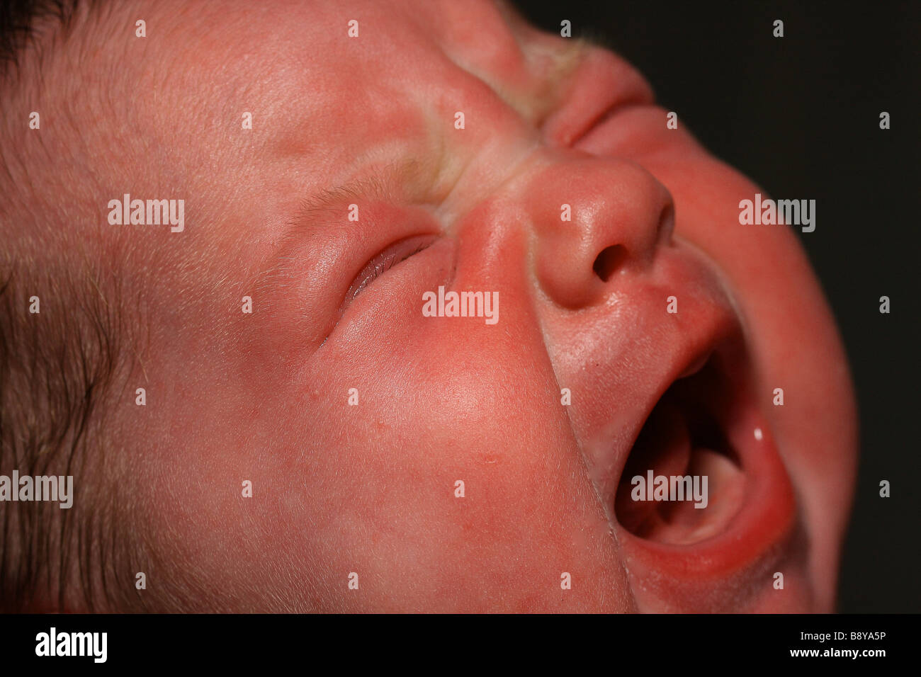 A crying three week old baby girl Stock Photo