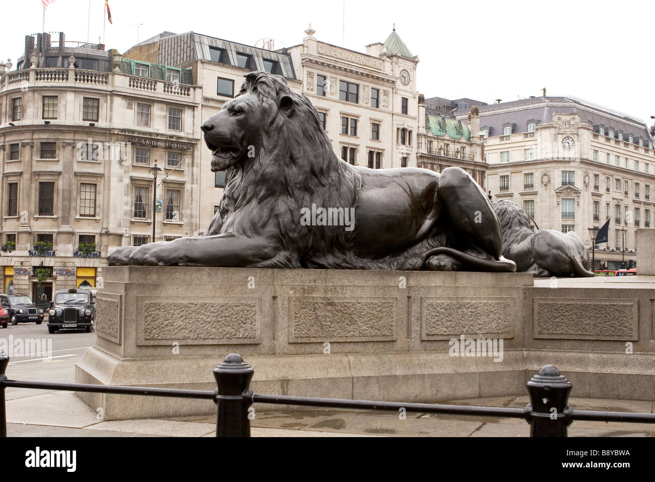 Lion Statue in Trafalgar Square, London sculpted by Sir Edwin Landseer. Stock Photo