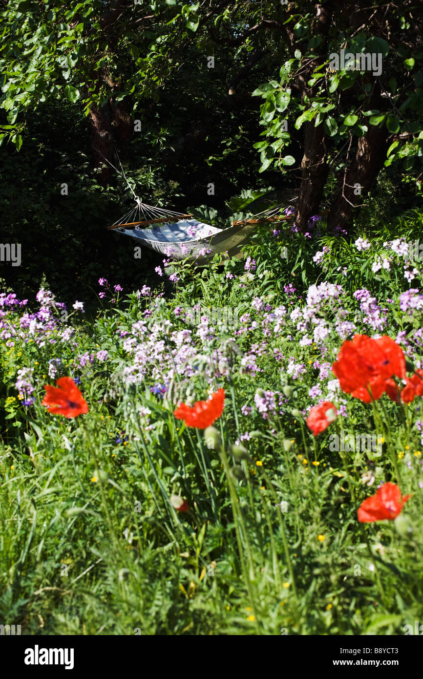 Hammock in a flowery garden Sweden. Stock Photo