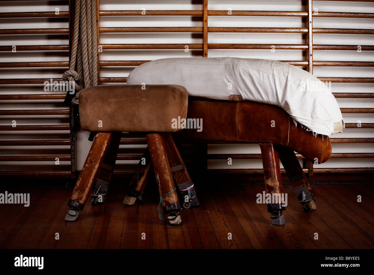 Gymnastic appliance. Stock Photo