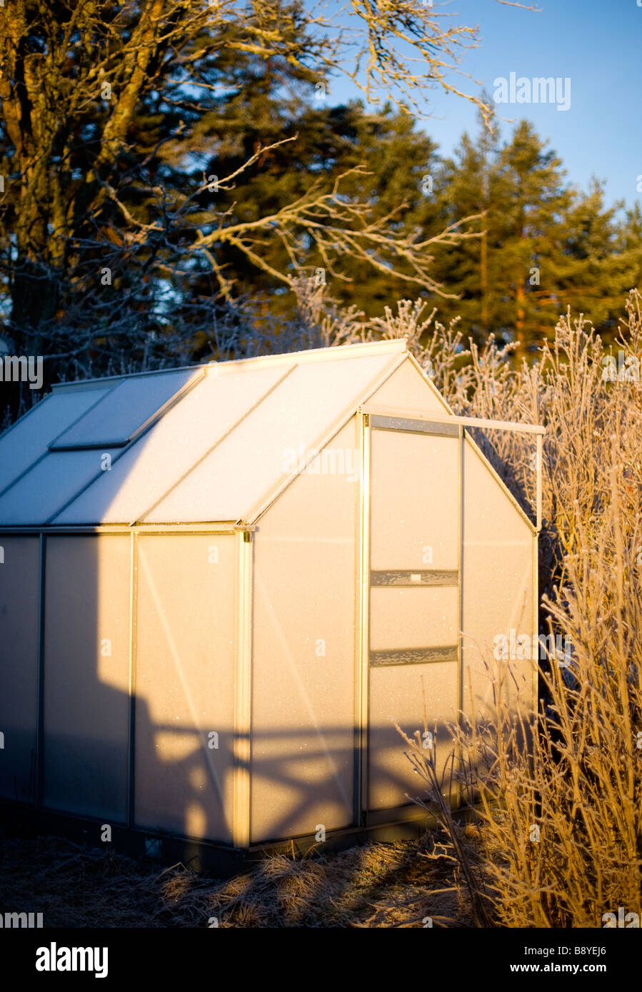 Frosted greenhouse Sweden Stock Photo Alamy