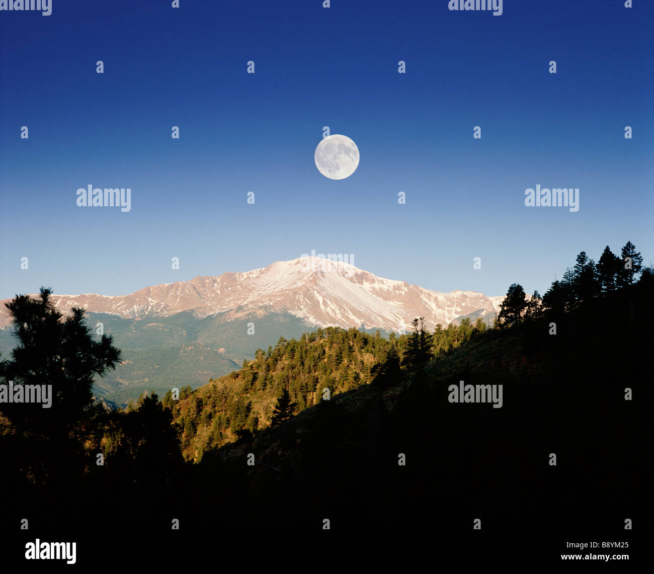My Image 21