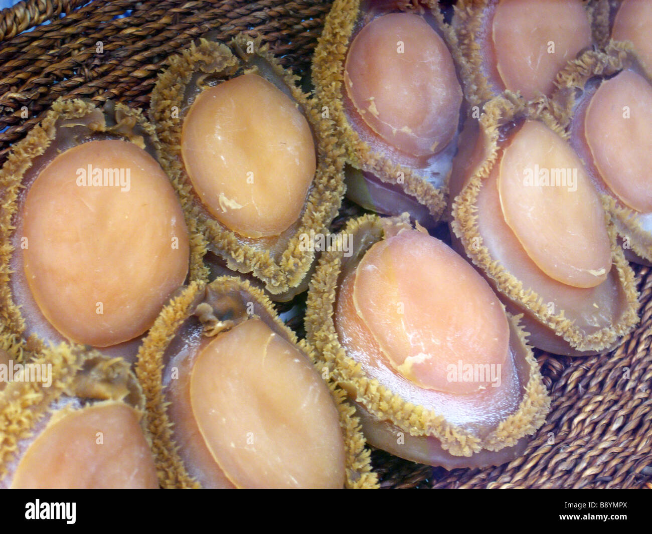 Abalone on display in basket in Chinese grocery store Stock Photo Alamy