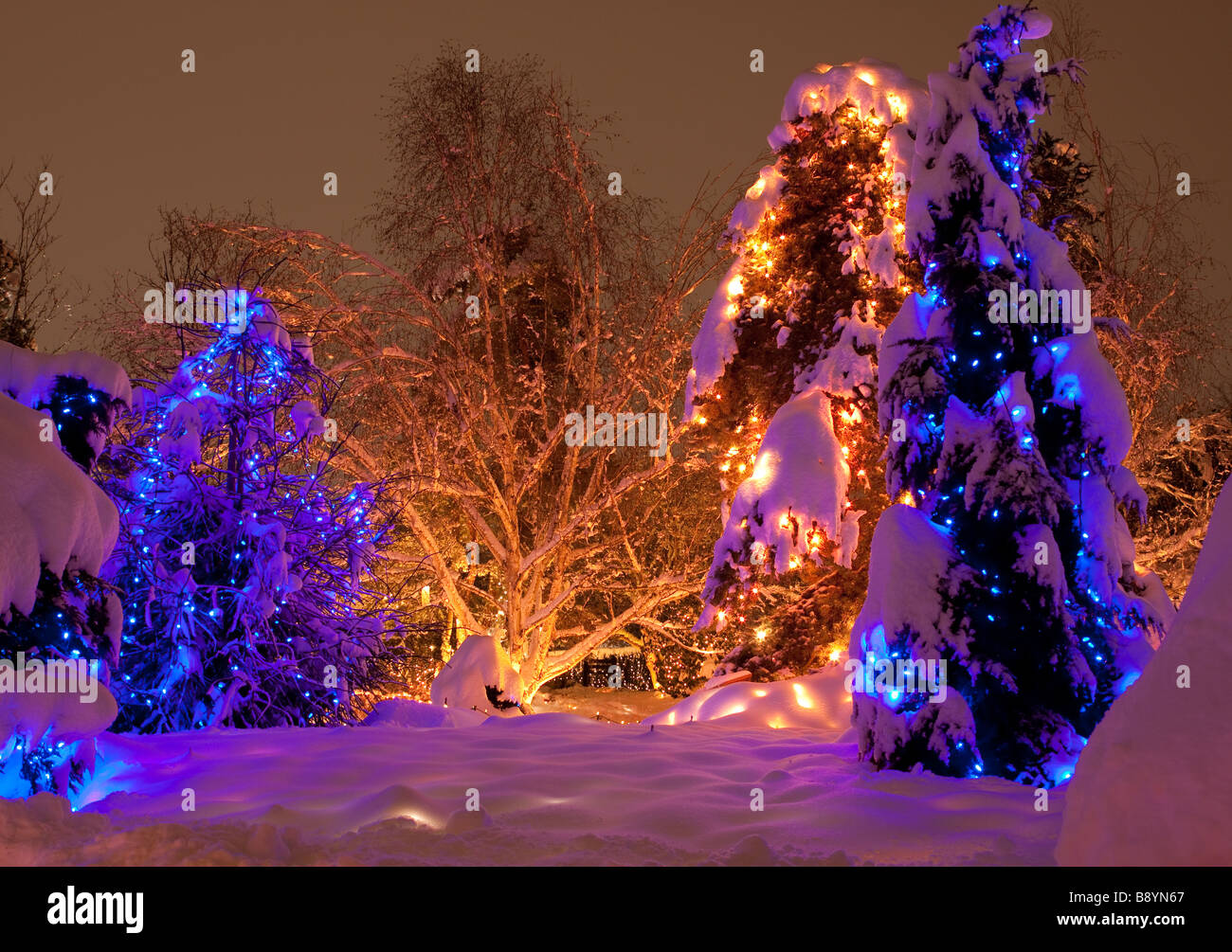 Vandusen christmas hires stock photography and images Alamy