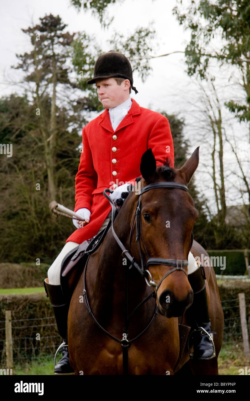 Whipper in of the Essex and Suffolk Hunt England Stock Photo