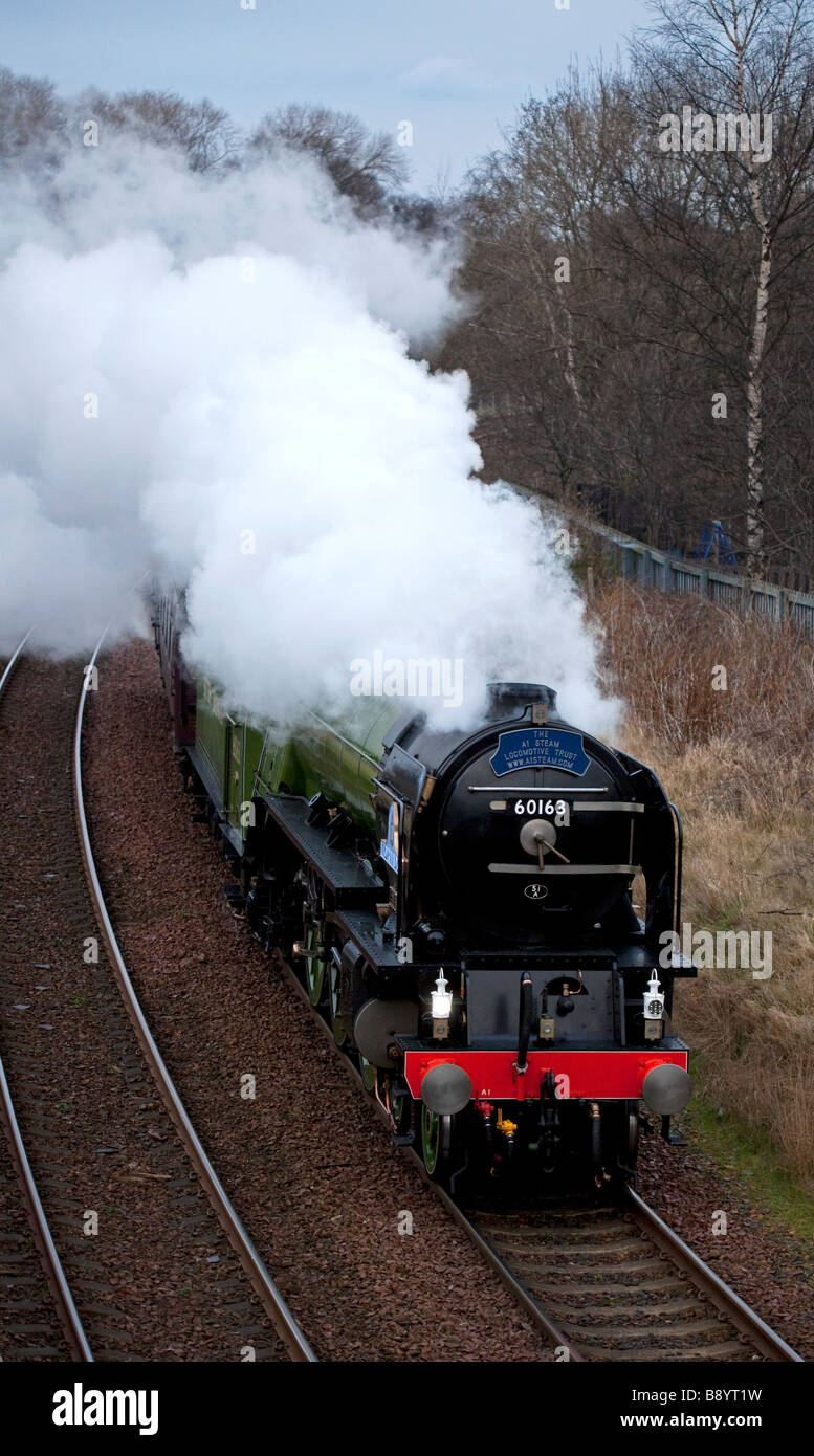 Tornado Steam engine is a new Peppercorn class A1 Pacific locomotive pictured on its first journey to Scotland in February 2009 Stock Photo