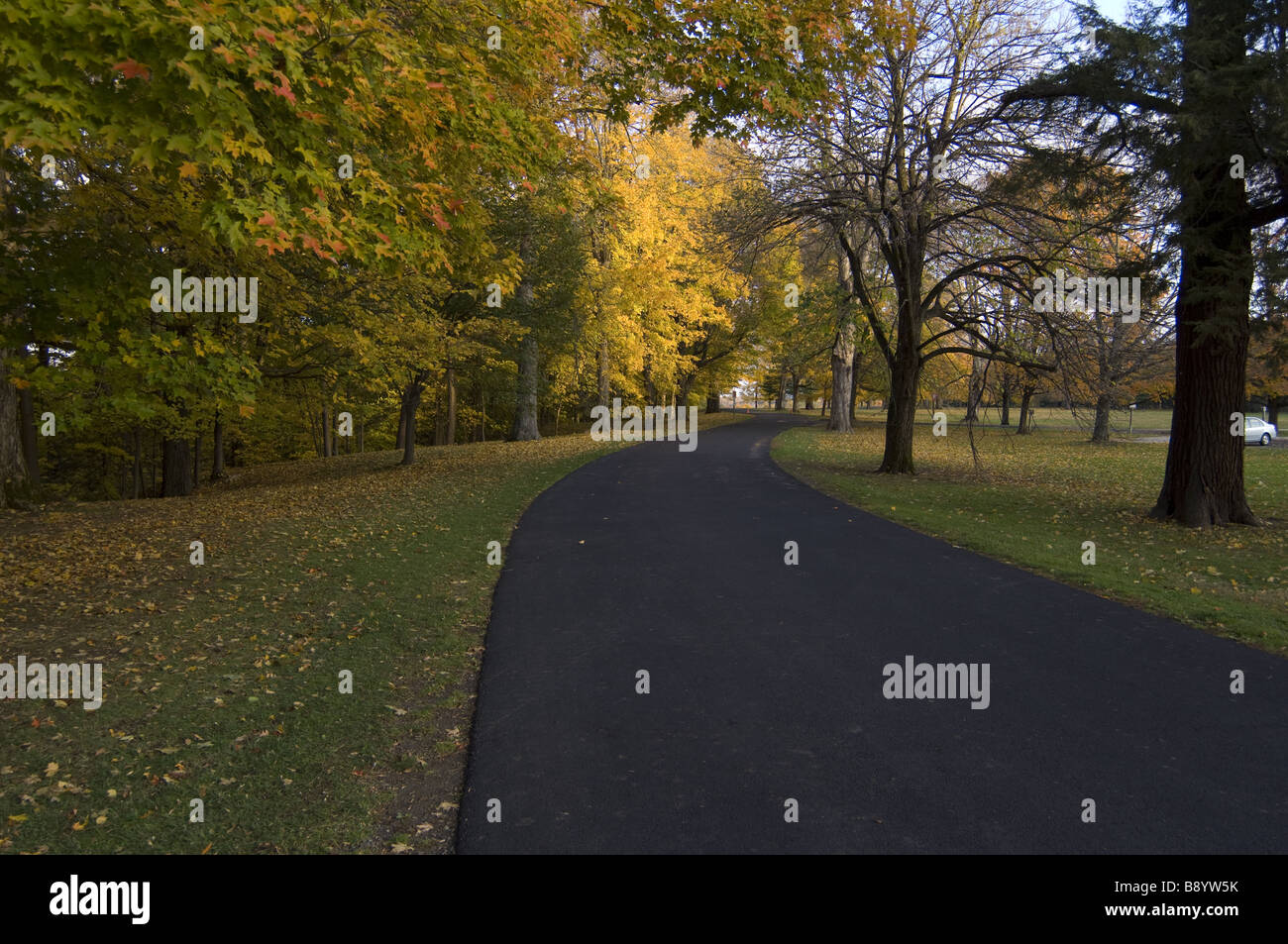Curving road in Autumn, Vanderbilt Mansion, Hyde Park, New York Stock Photo