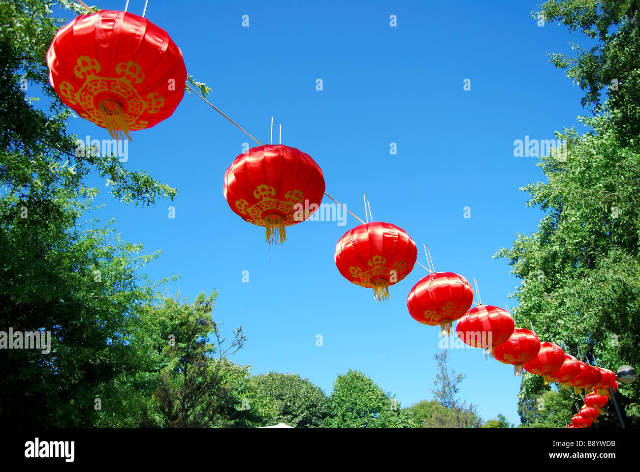 Square chinese paper lanterns deals