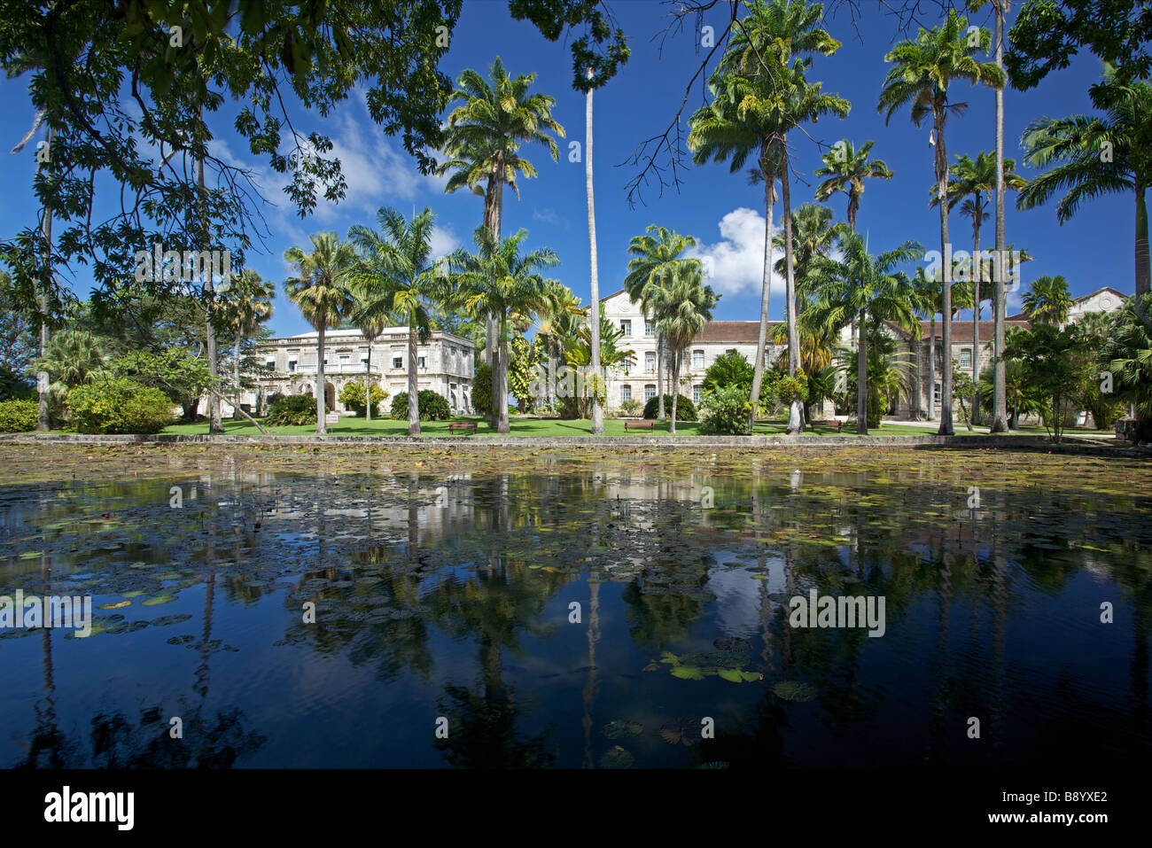 Lily pond at Codrington College, the oldest Anglican theological college in the Western Hemisphere, Barbados, 'West Indies' Stock Photo