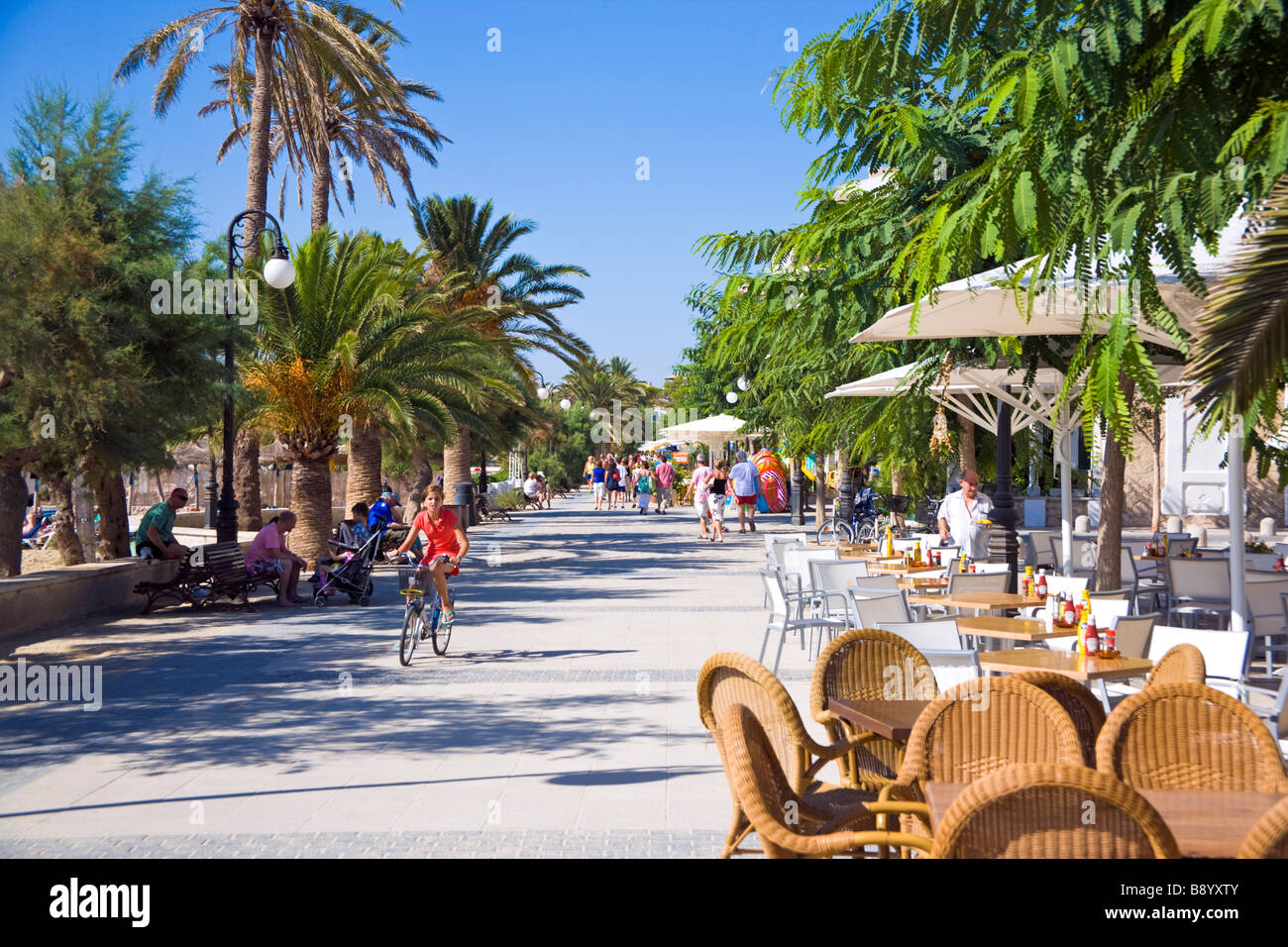 SEAFRONT WALKWAY IN PUERTO POLLENSA MAJORCA Stock Photo - Alamy